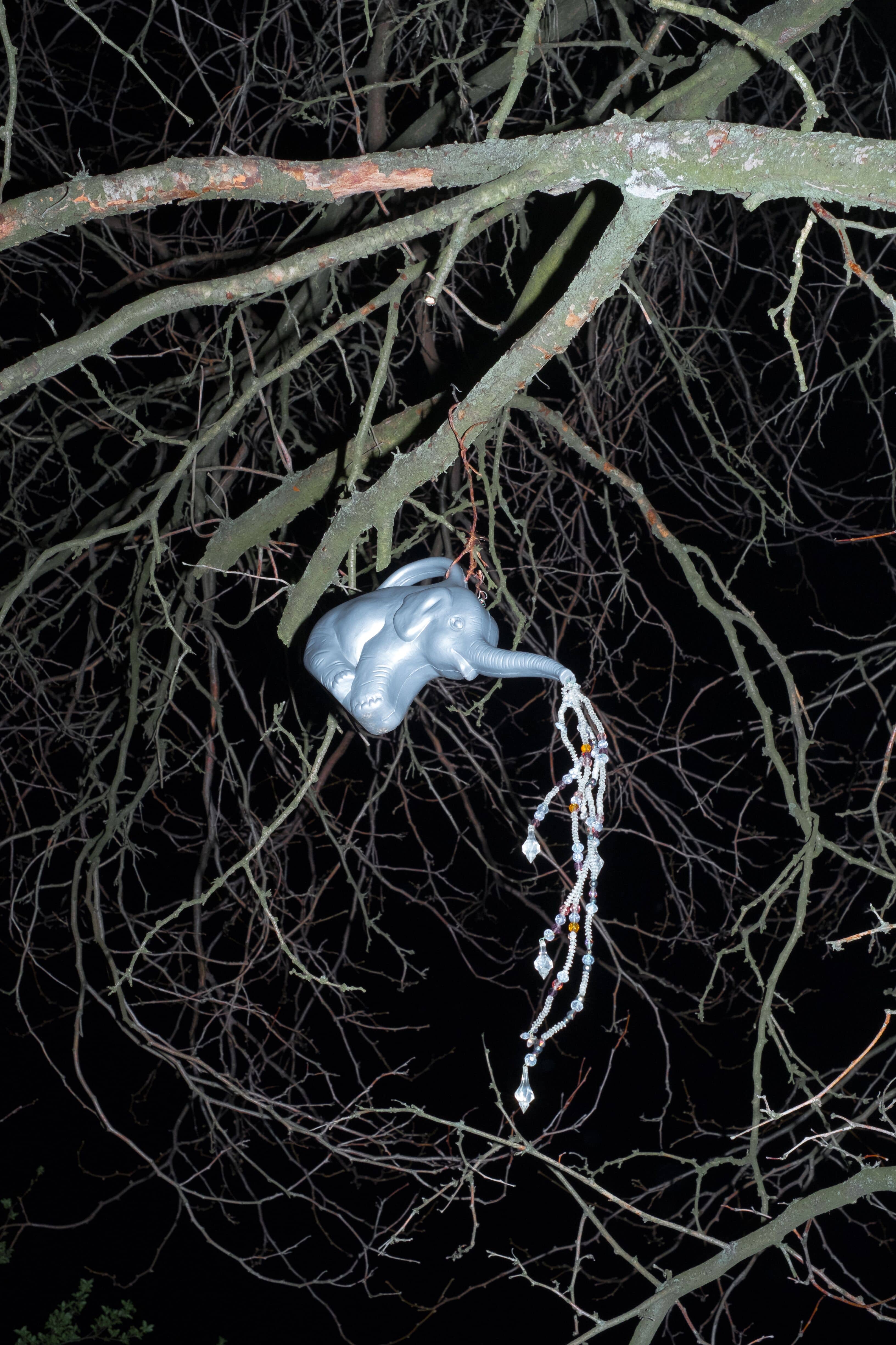 elephant toy in branches