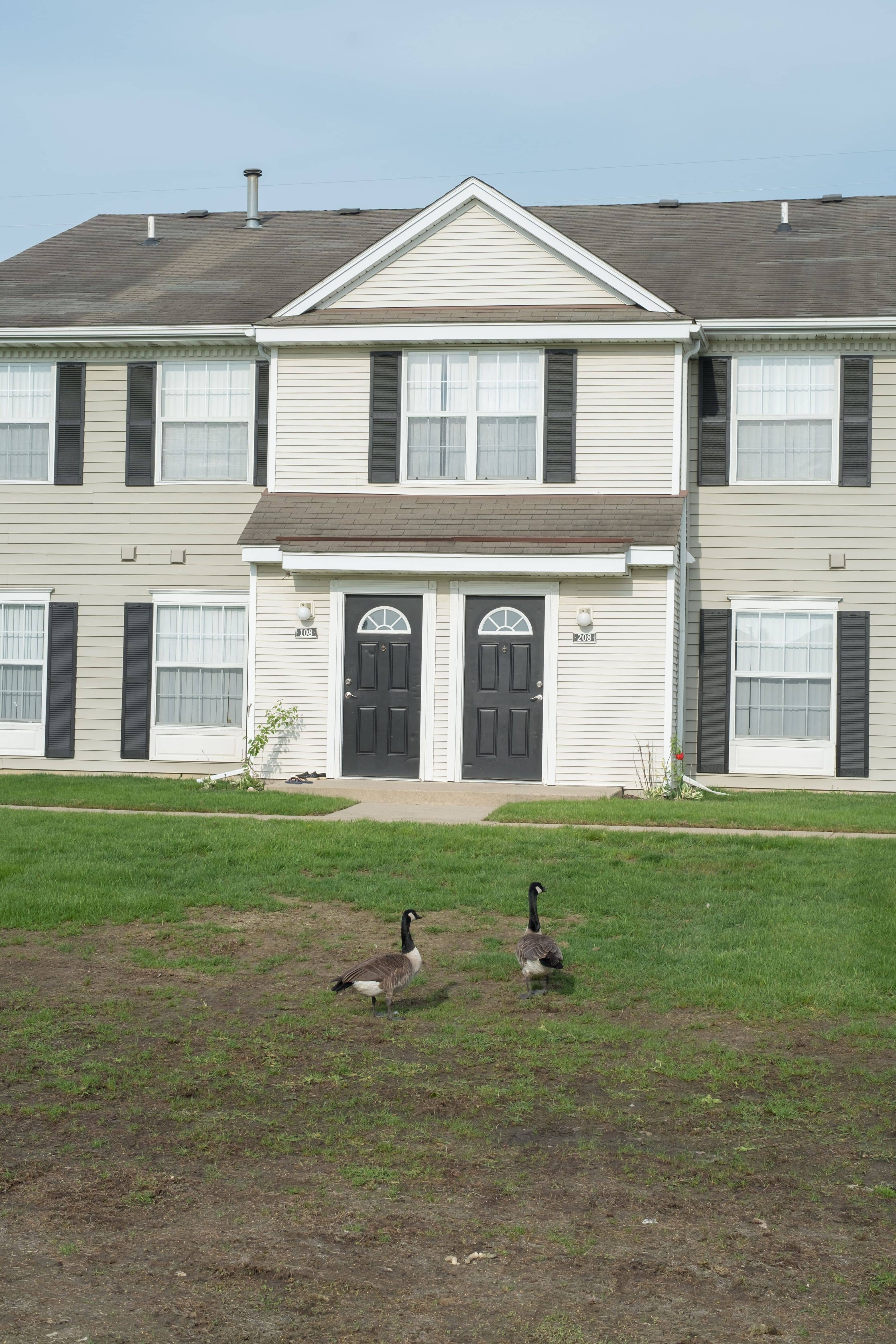 geese in front of house